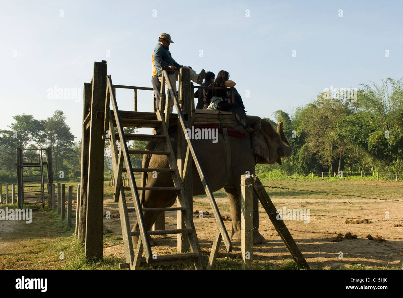Climbing onto elephants for an elephant jungle safari in the Chitwan National Park, Nepal. Stock Photo