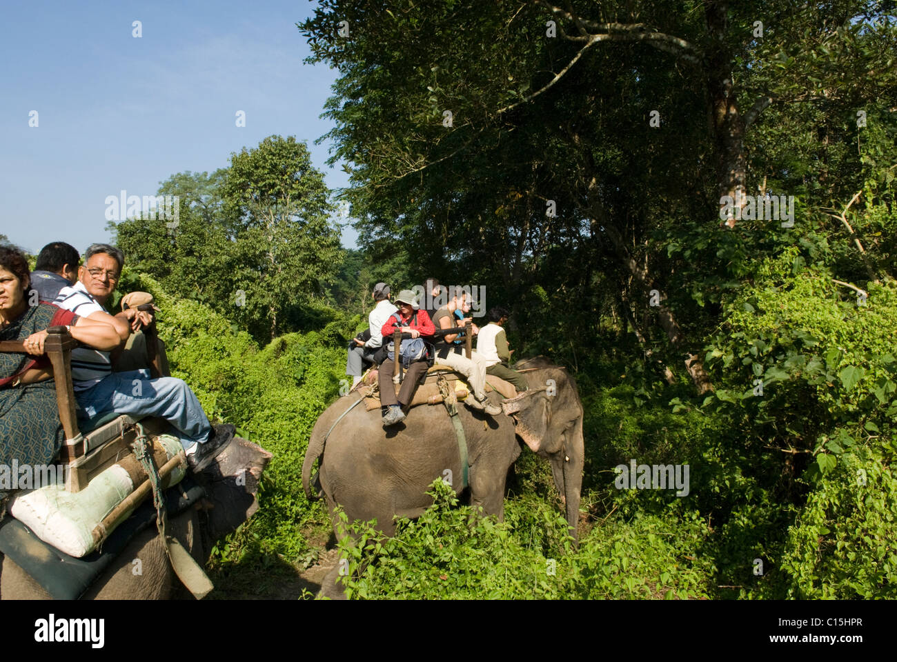Chitwan National Park Stock Photos & Chitwan National Park Stock Images