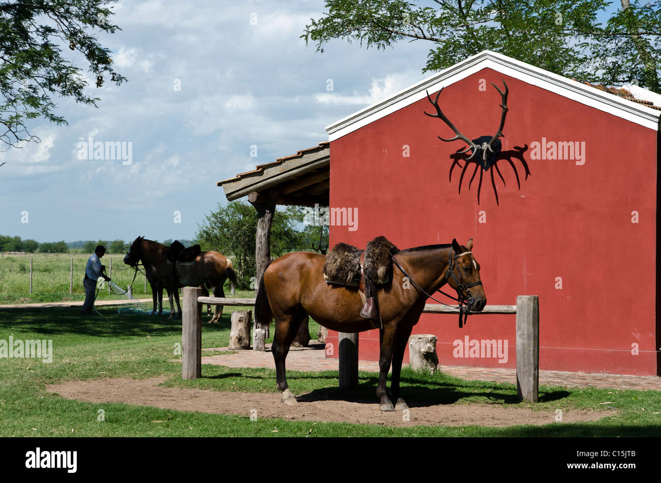 Ranch (estancia) La Bamba, San Antonio de Areco, province of Buenos Aires, Argentina Stock Photo