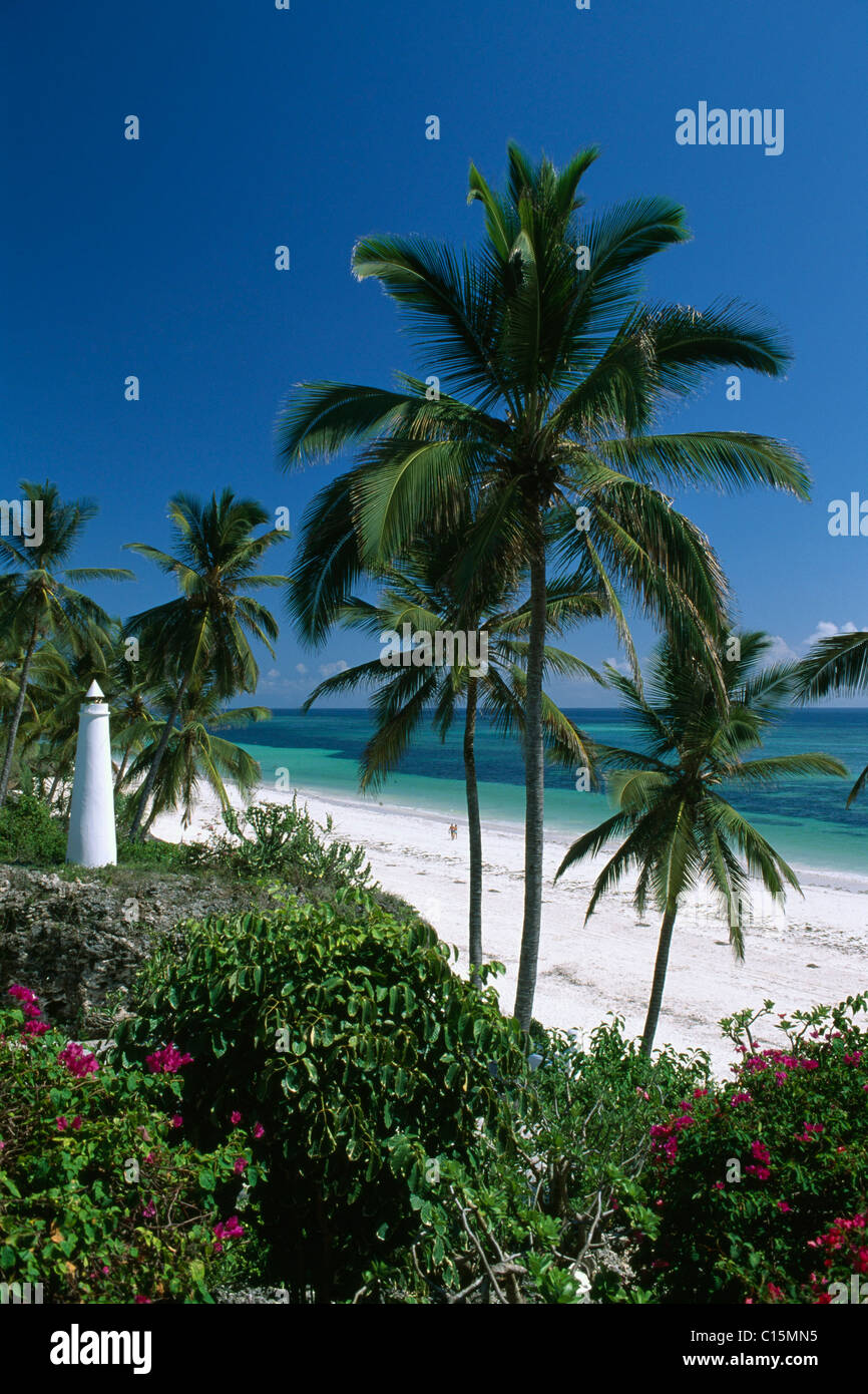 Palm trees at Diani Beach at Leisure Lodge Hotel, Kenya, Africa Stock Photo