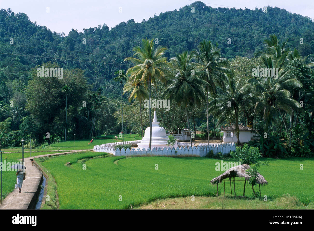 Temple, Kandy, Sri Lanka, South Asia Stock Photo