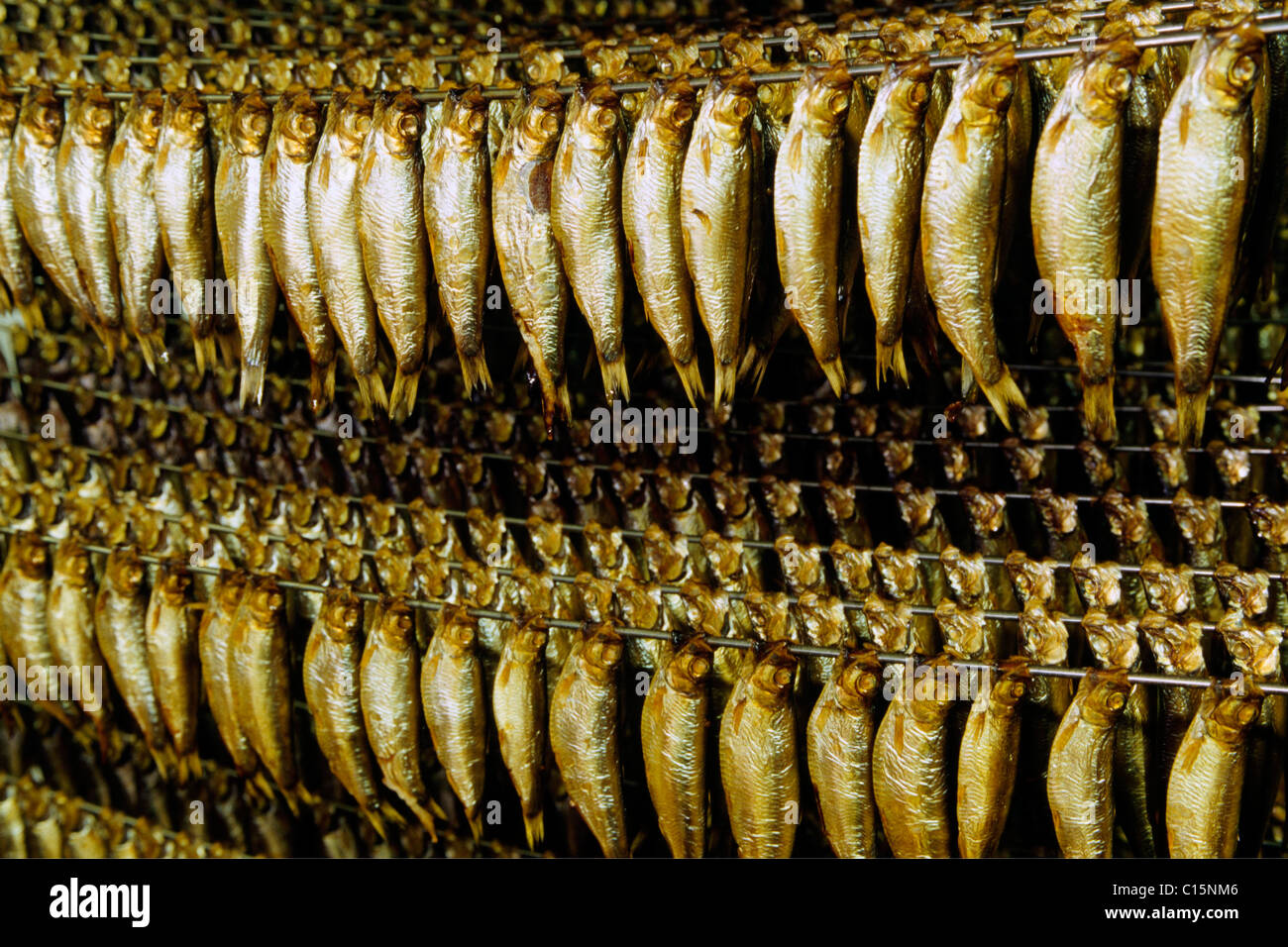 Kieler Sprotten or Kiel Sprats, smoked sprat, Eckernfoerde, Schleswig ...