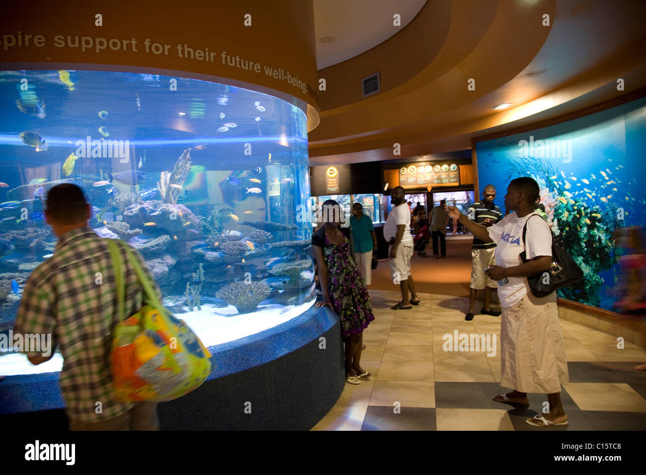 Visitors at Two Oceans Aquarium in Cape Town Stock Photo Alamy