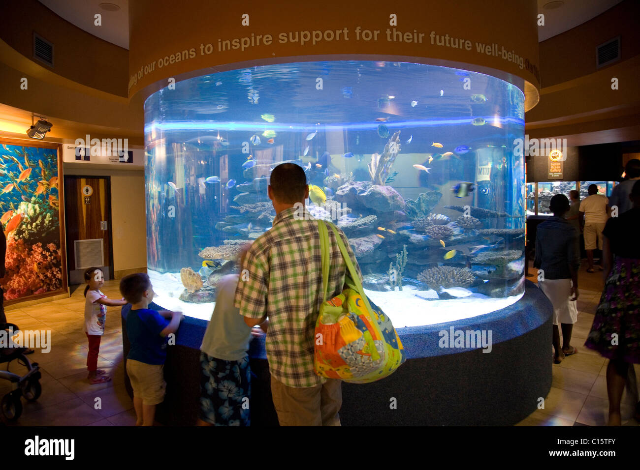 Visitors at Two Oceans Aquarium in Cape Town Stock Photo Alamy