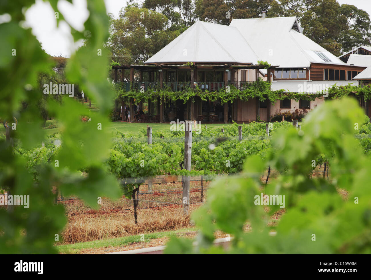 Vasse Felix winery, Margaret River, Western Australia, Australia Stock