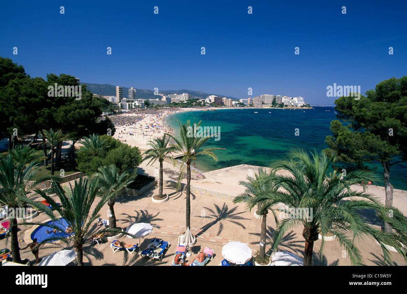 Palm beach in Magaluf, Majorca, Balearic Islands, Spain, Europe Stock Photo  - Alamy