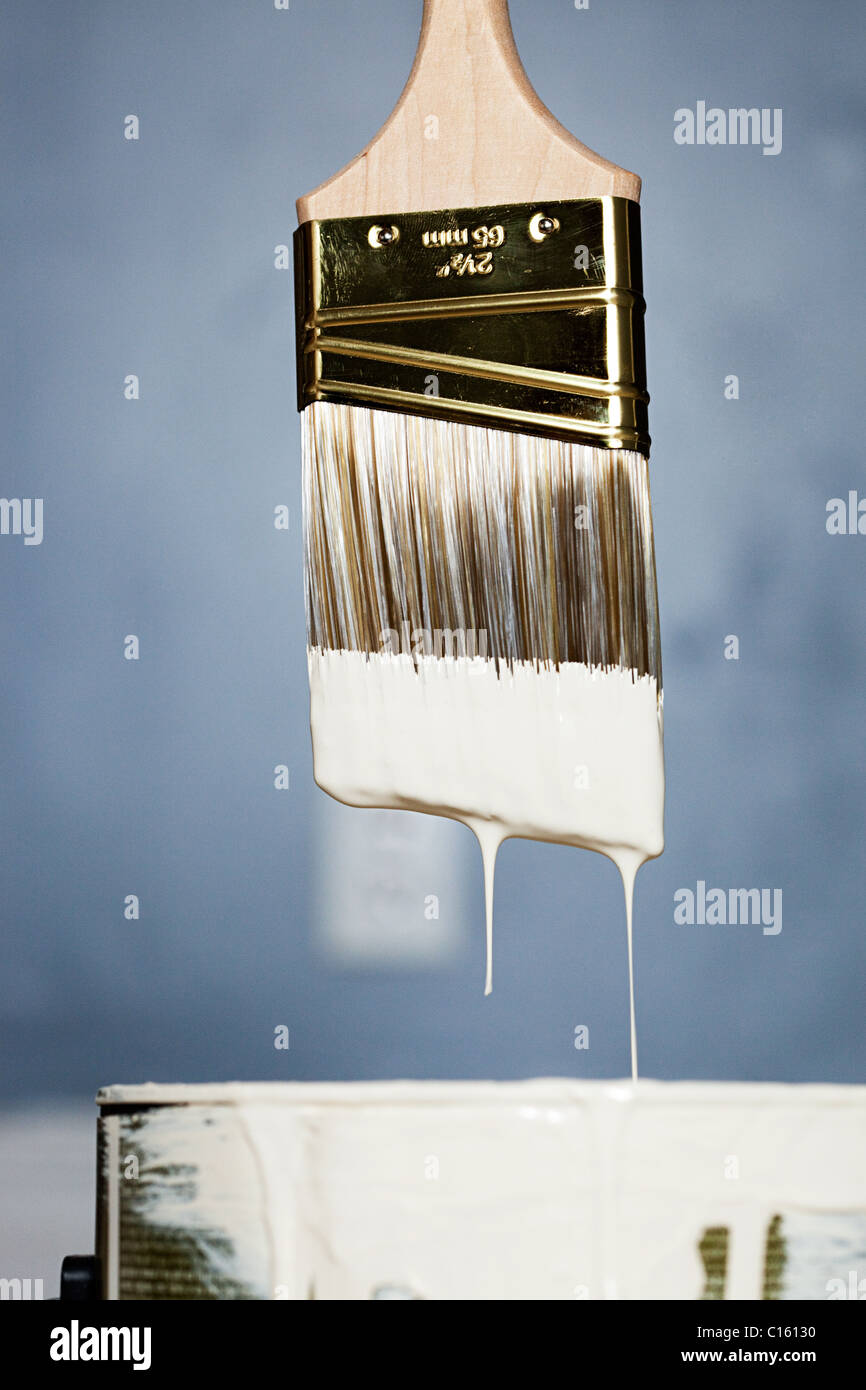 Paintbrush with white paint dripping Stock Photo Alamy