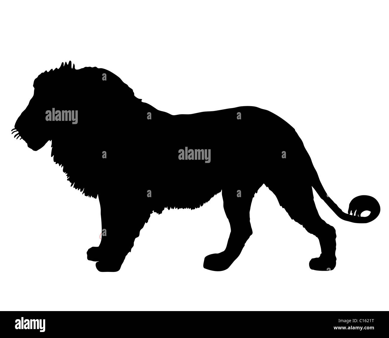 Lion illustration silhouette Black and White Stock Photos & Images - Alamy