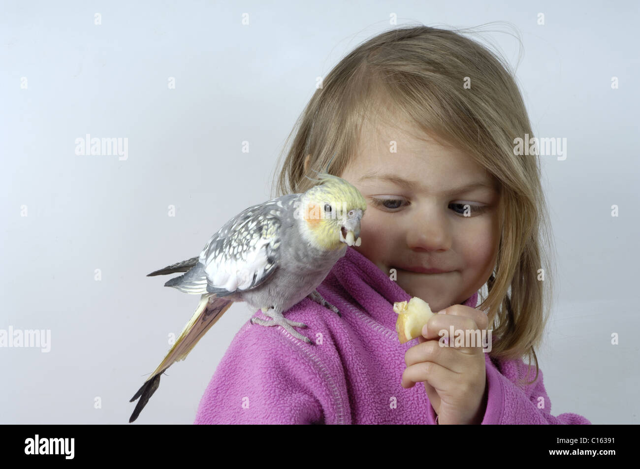 Girl with cockatiel Stock Photo