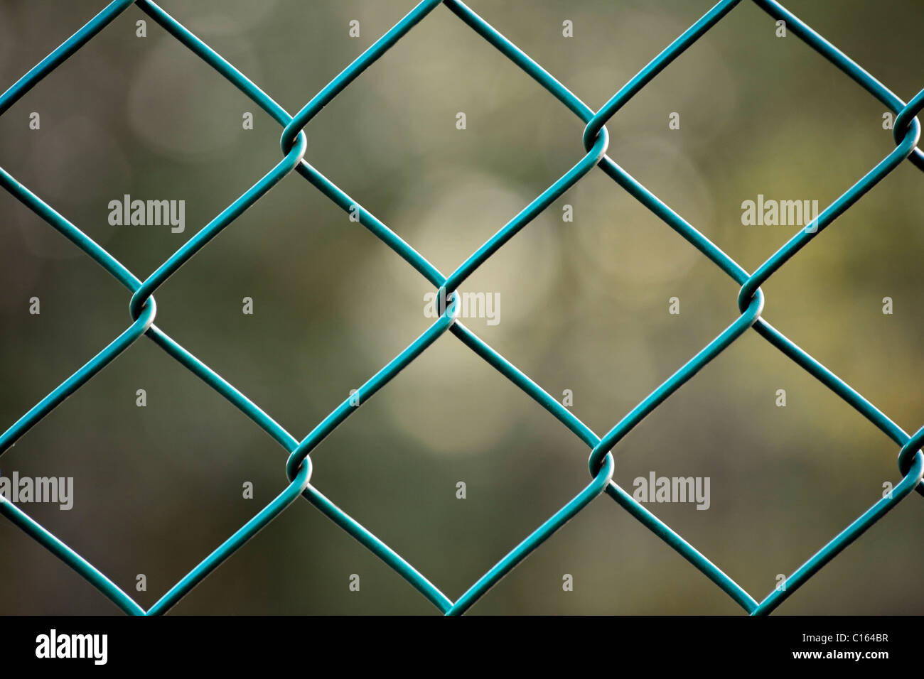 Chain-link fence, green Stock Photo
