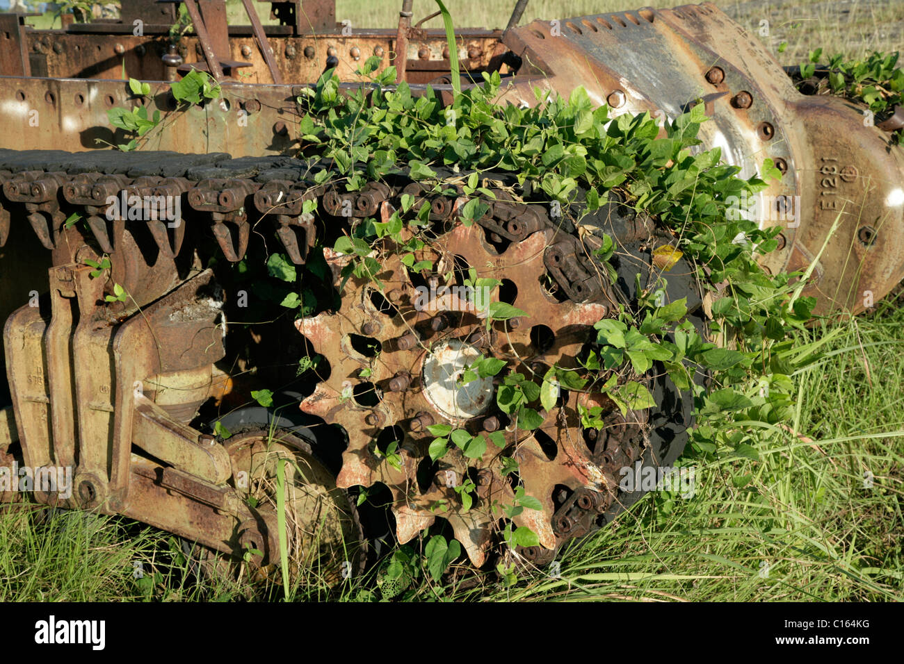 Wreck of a Japanese WWII tank, Alexishafen, Madang, Papua New Guinea, Melanesia Stock Photo