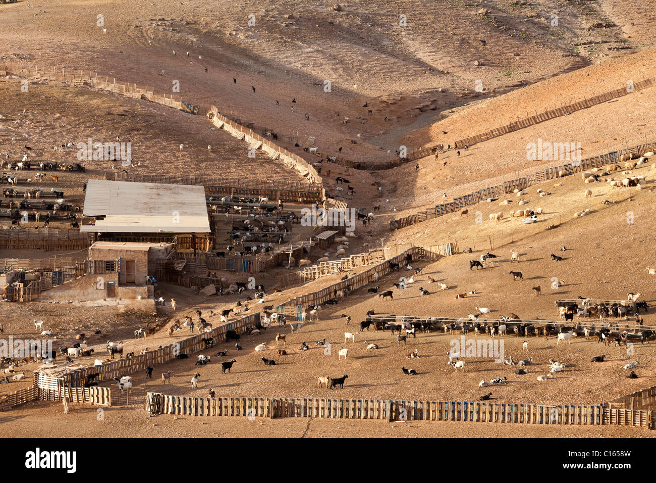 A goat farm west of Llanos de la Concepcion on the Canary Island of Fuerteventura Stock Photo