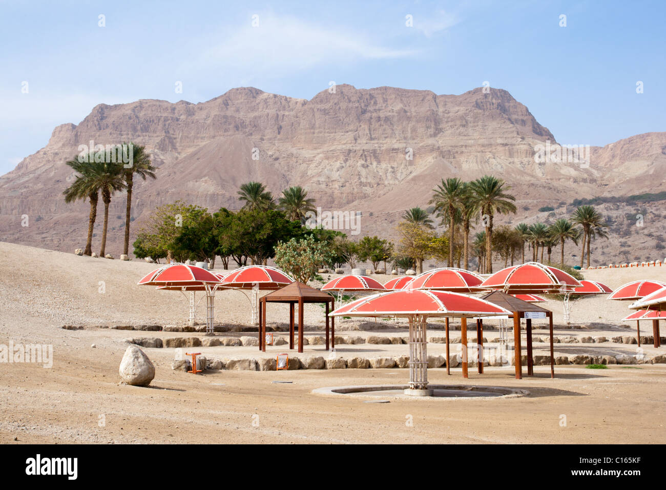 Ein Gedi oase at the Dead Sea. Israel Stock Photo