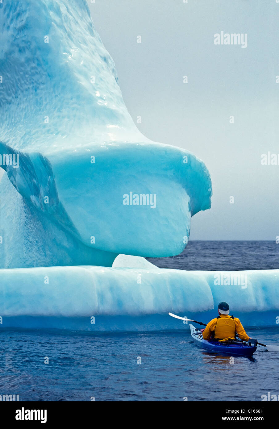 Conan Coates kayaking around an iceberg in the Atlantic Ocean near Hare Bay off the Great Northern Peninsula in Newfound Stock Photo