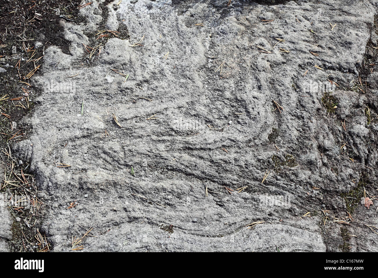 Folded Pattern On Rocks Folding pattern in rock, Scotland, September 2010 Stock Photo - Alamy