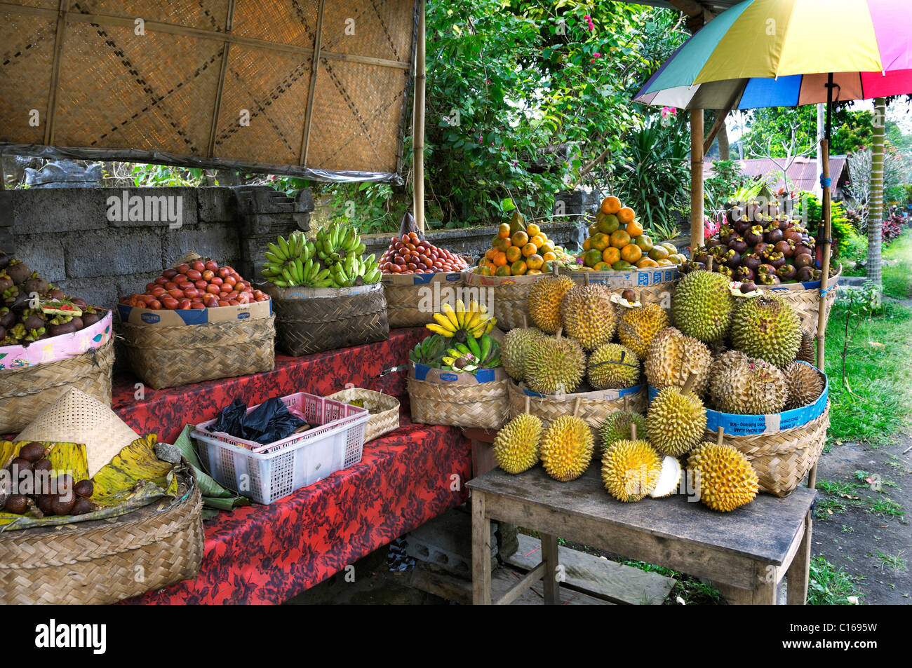 Spikey fruit of the Durian Tree (Durio zibethinus) and other fruits, near Bangli, Bali, Indonesia, South East Asia Stock Photo