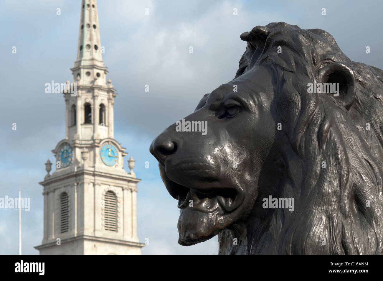 Trafalgar square lion up close hi-res stock photography and images - Alamy