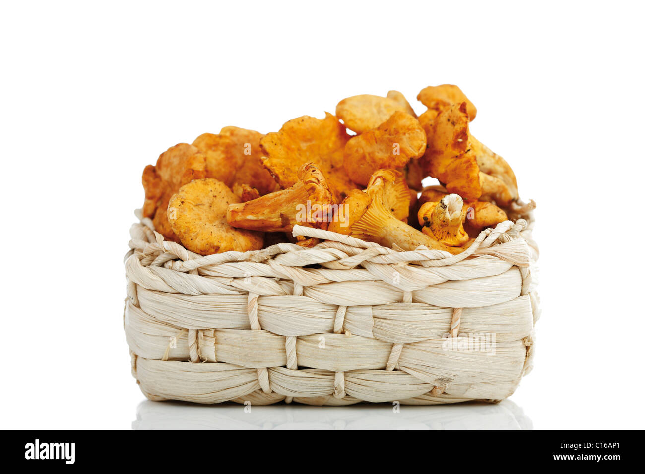 Cantharellus Mushrooms (Cantharellus cibarius) in a small basket Stock Photo