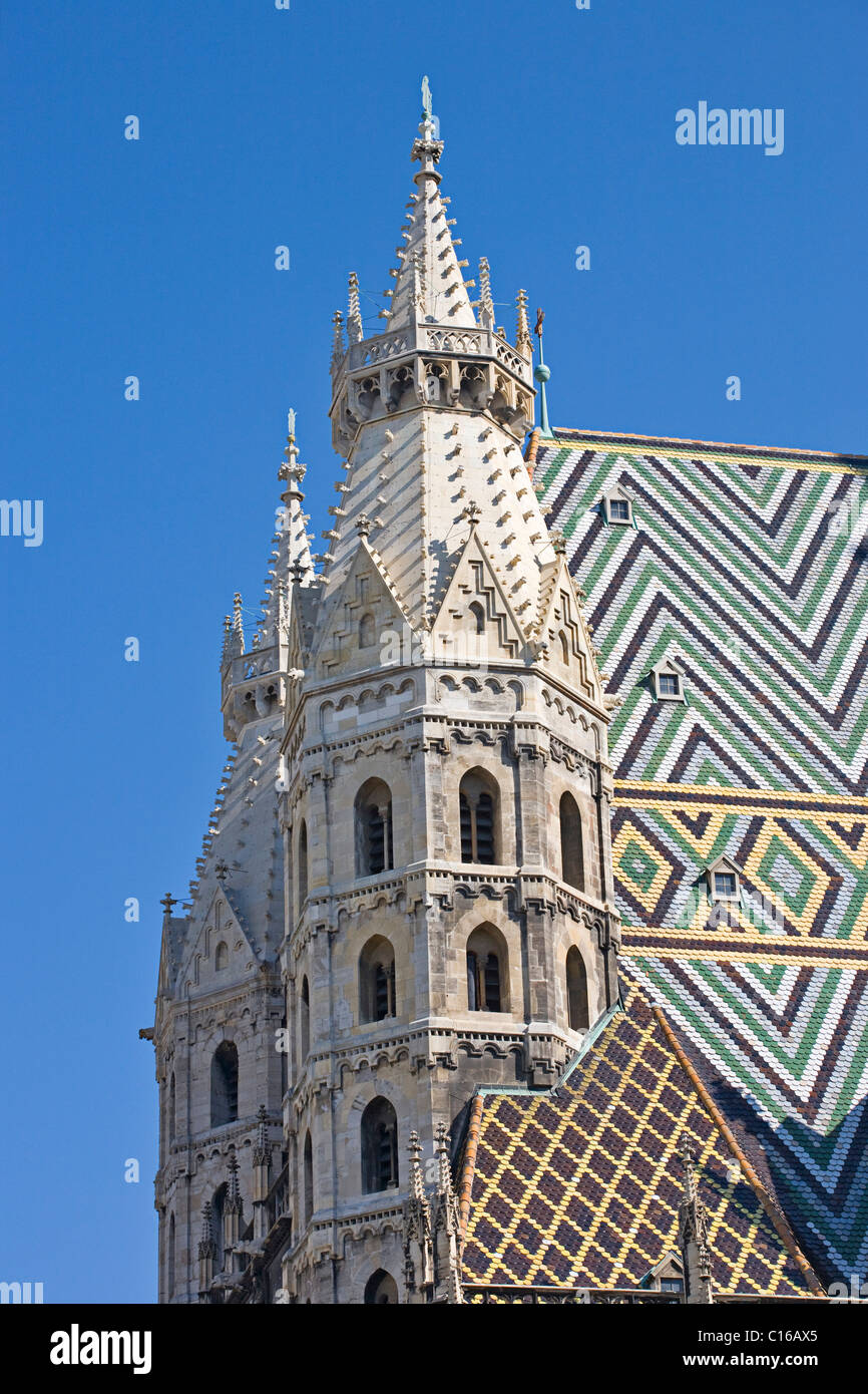 MUYU Magnet 3D Stephansdom Cathedral Vienna: Souvenir Viaggio Frigorifero, Artigianale - 3