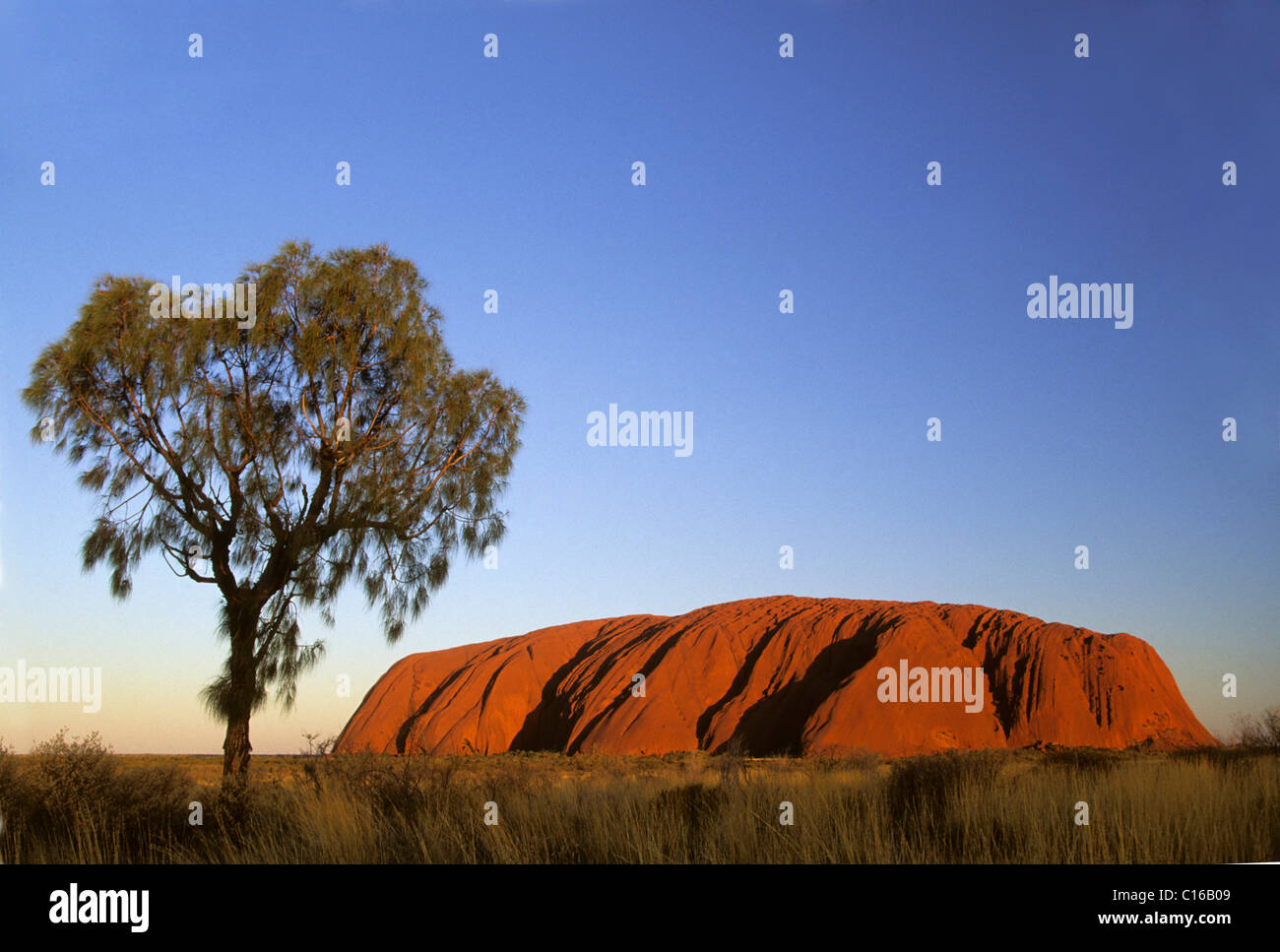 Uluru, Ayers rock, Red Centre, Northern Territory, Australia Stock Photo