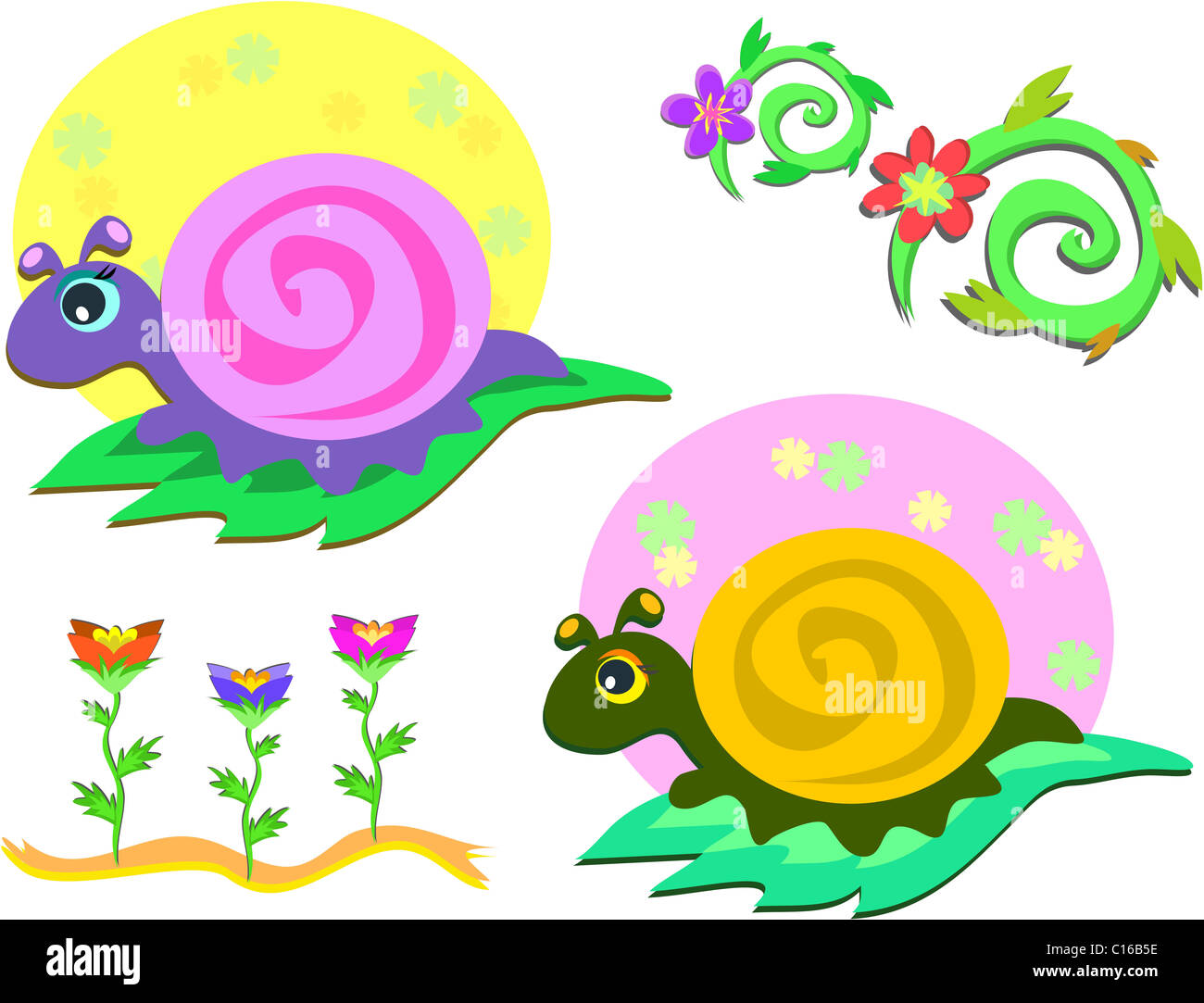 Mix of Snails and Flowers Stock Photo Alamy