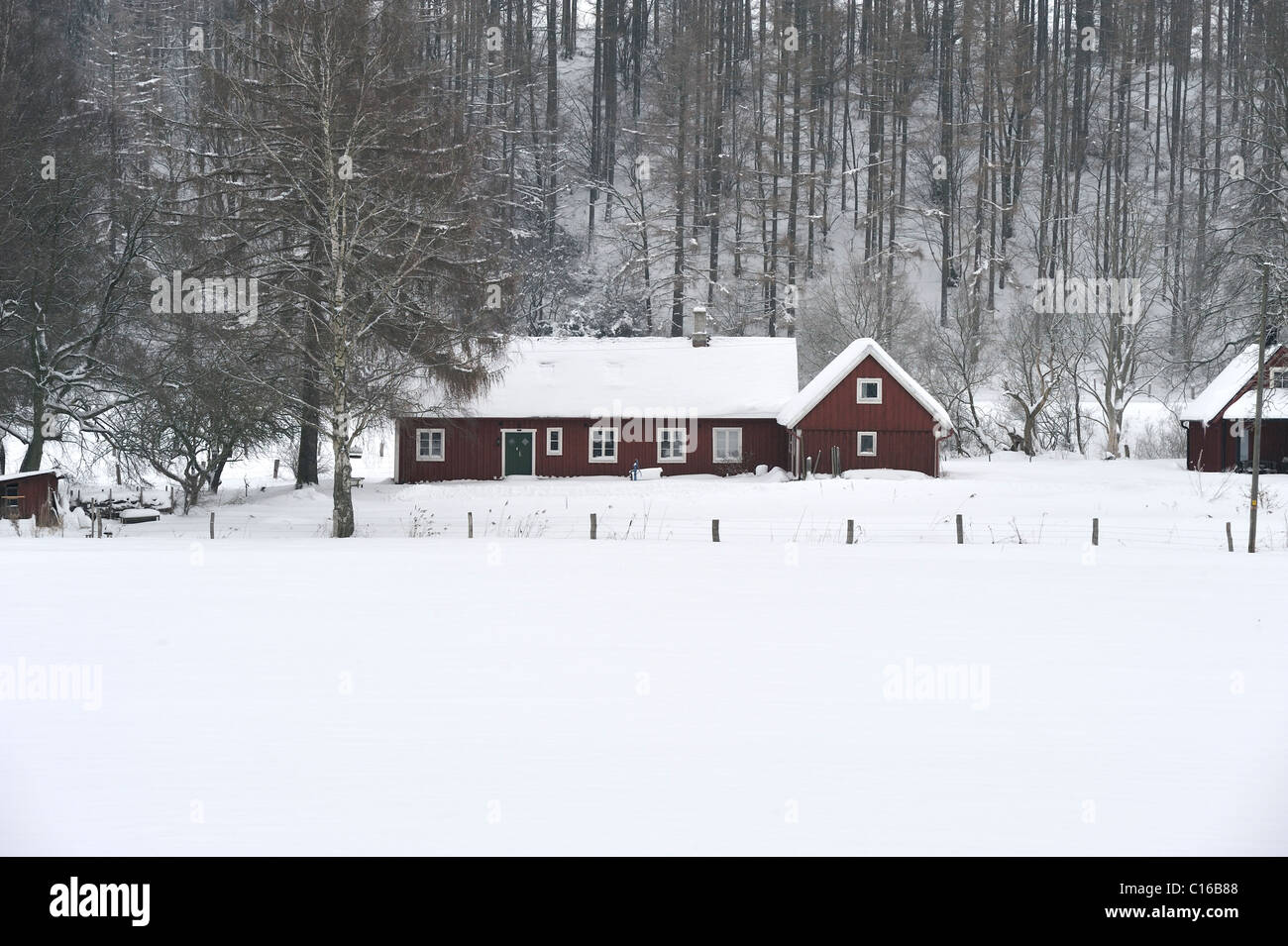 Small farm in winter, Skane Sweden Stock Photo