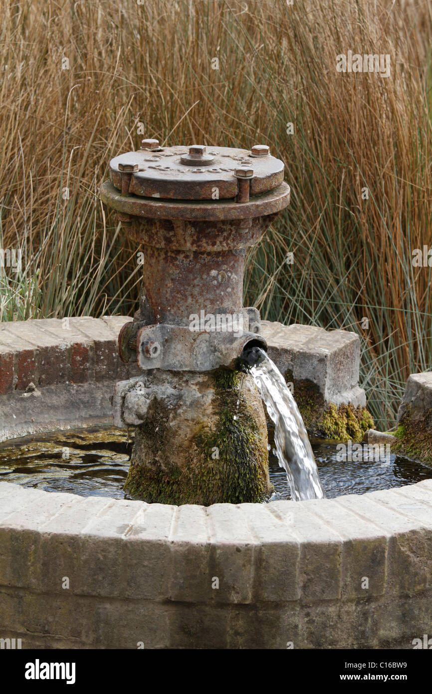 A natural spring piped up to the surface to provide drinking water in the marshes near Harty Ferry in Kent, just north of Oare Stock Photo