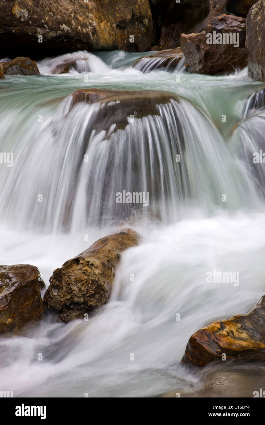 Detail, Sulzaubach brook, Stubaital Valley, North Tyrol, Austria, Europe Stock Photo