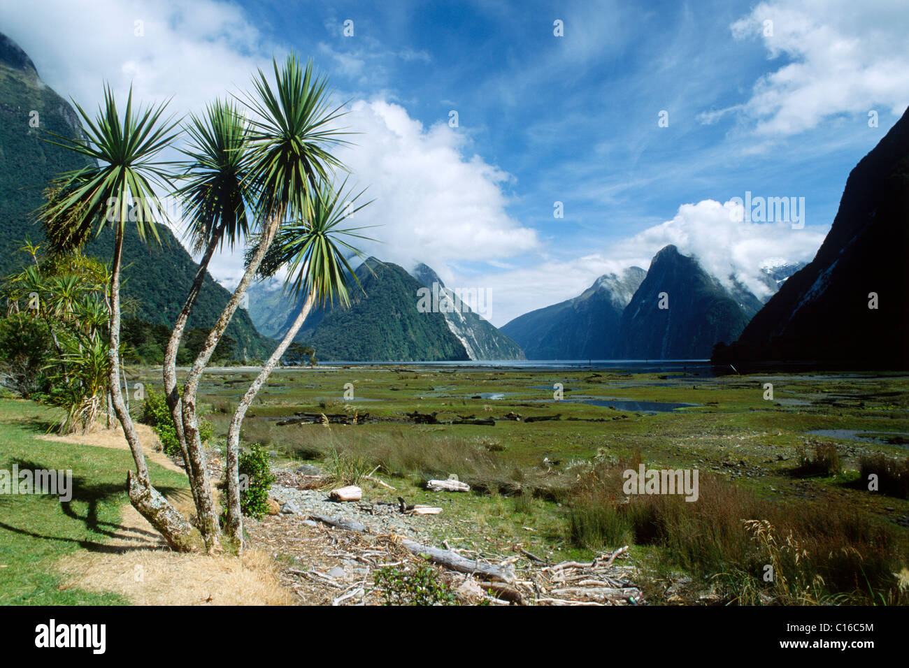 Milford South with Mitre Peak when there is no tide, South Island, New Zealand Stock Photo