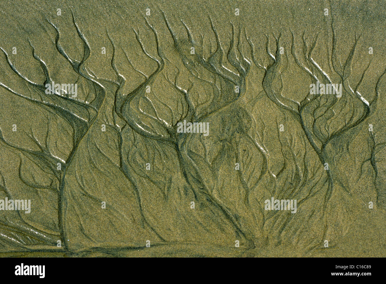 Tidal formation on the beach, Bundjalung National Park, New South Wales, Australia Stock Photo