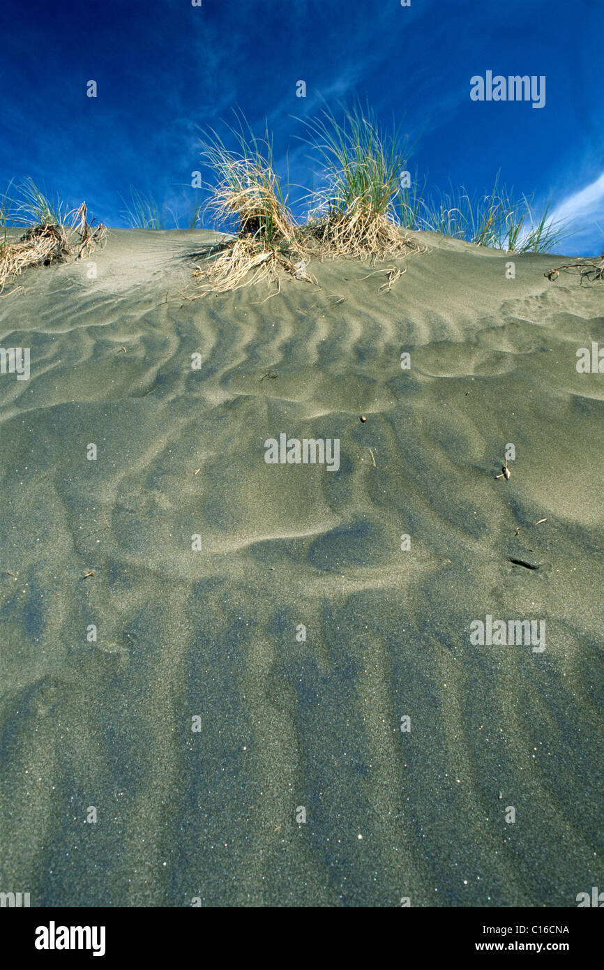 Black Lava sand on Golden Bay Beach, North Island, New Zealand Stock Photo