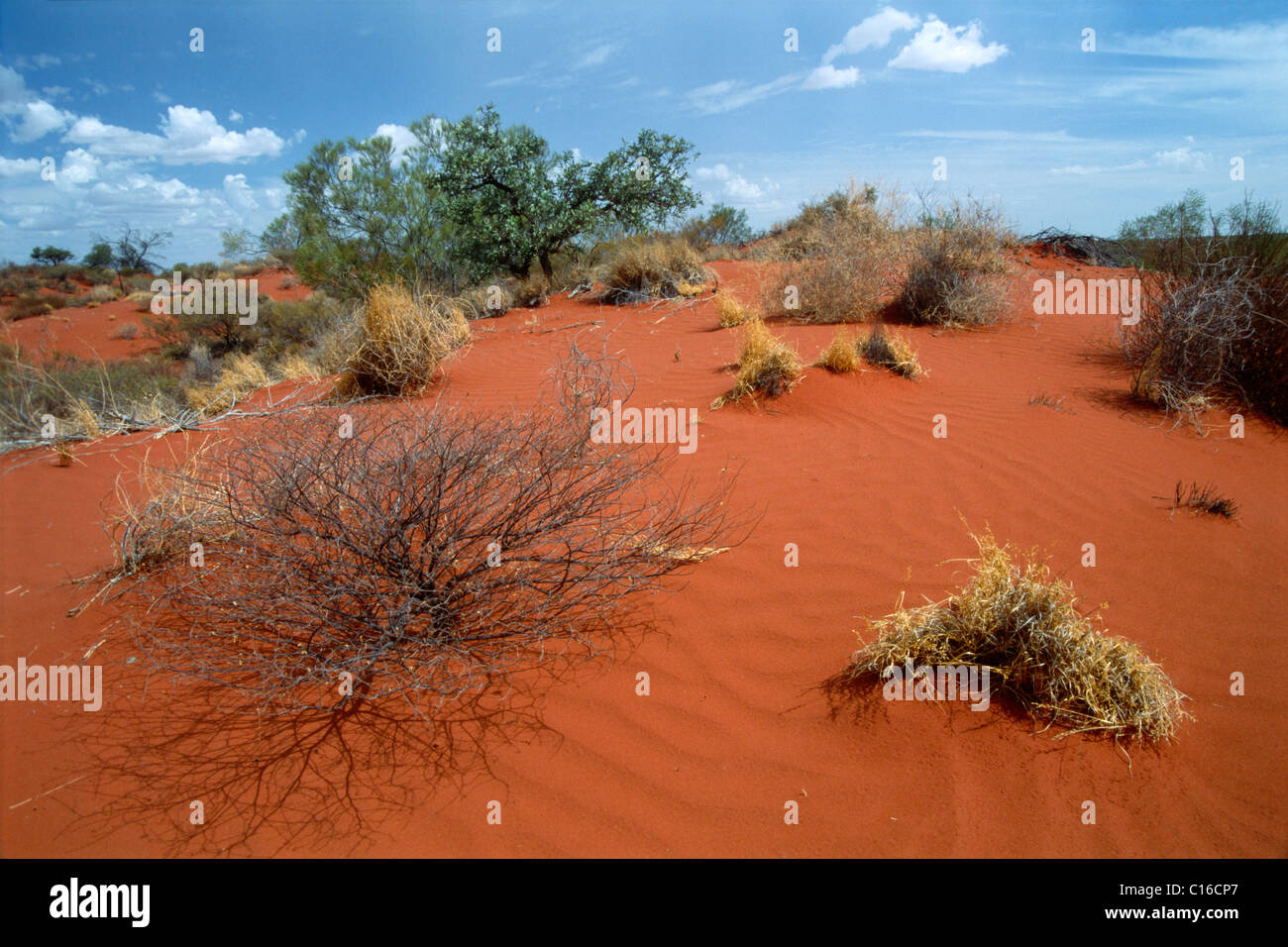 Red sand in the outback, Western Australia, Australia Stock Photo - Alamy