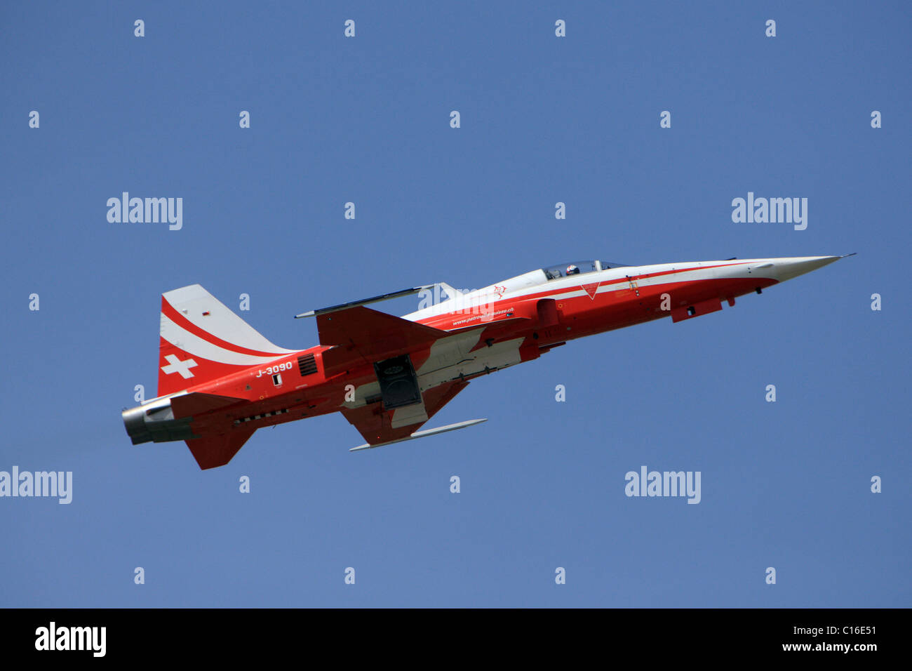 Jet fighter of the Patrouille Suisse, ILA 2008, Schoenefeld Airport, Berlin, Germany, Europe Stock Photo