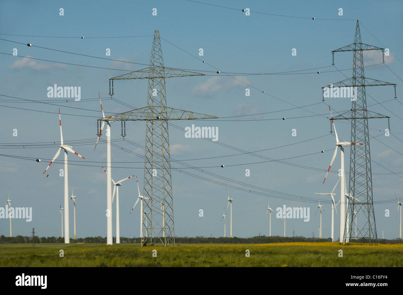 Electricity pylons and wind turbines standing in fields, Burgenland, Austria, Europe Stock Photo