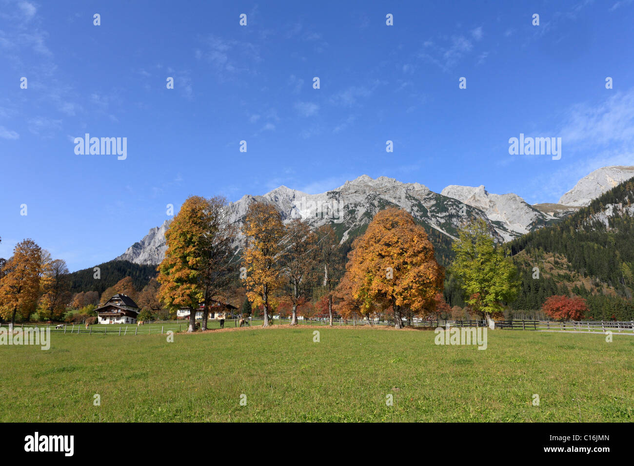 Dachstein Range, Ramsau, Styria, Austria, Europe Stock Photo