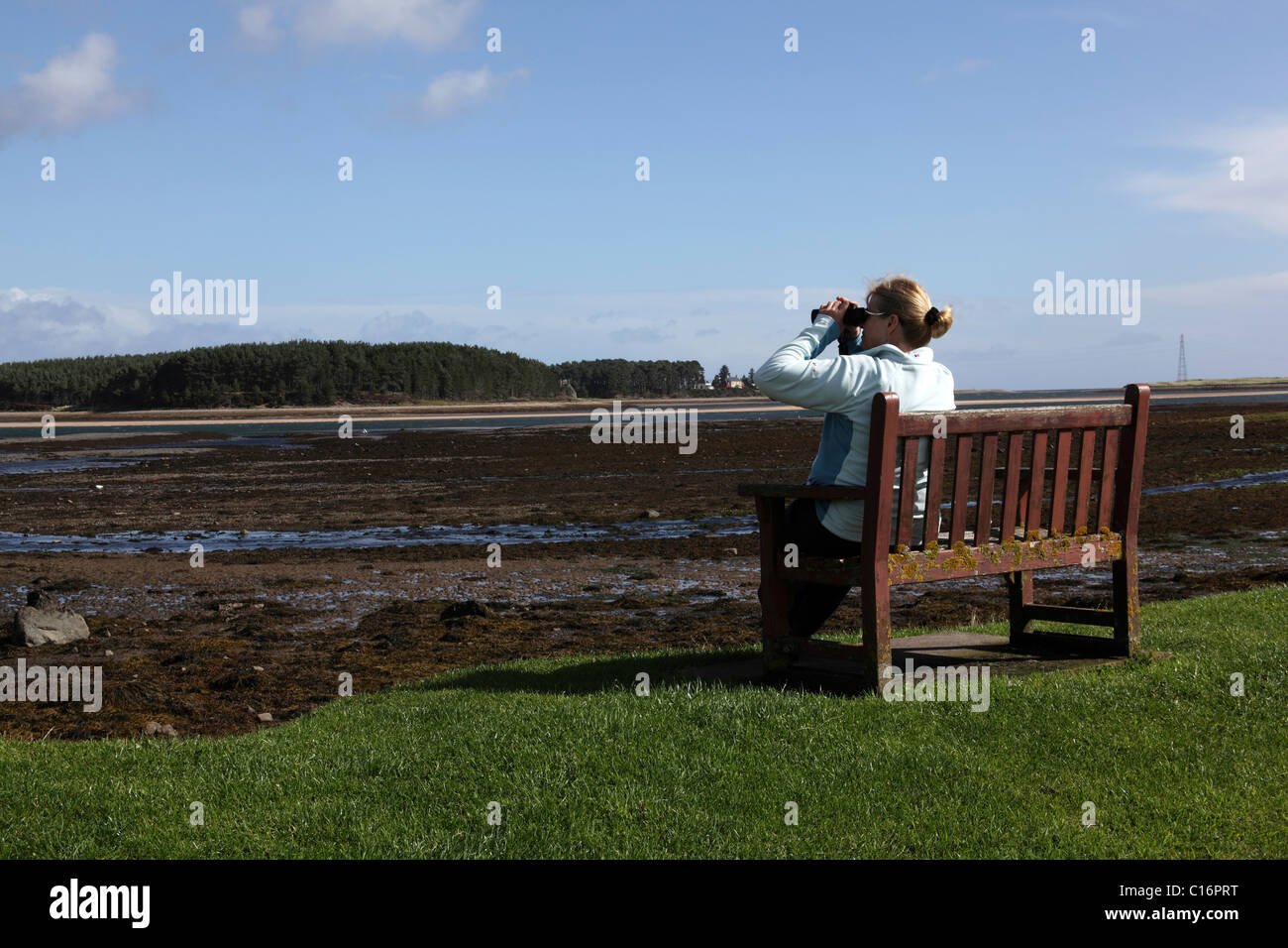 Woman using binoculars bird watching at Loch Fleet, Scotland, September 2010 Stock Photo