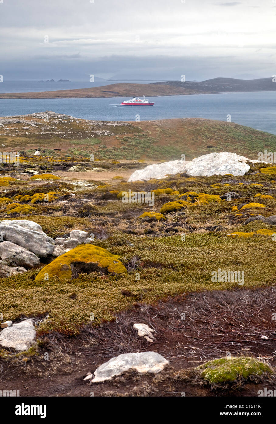 West Point Island (with MS Expedition in Distance), Falklands Stock Photo