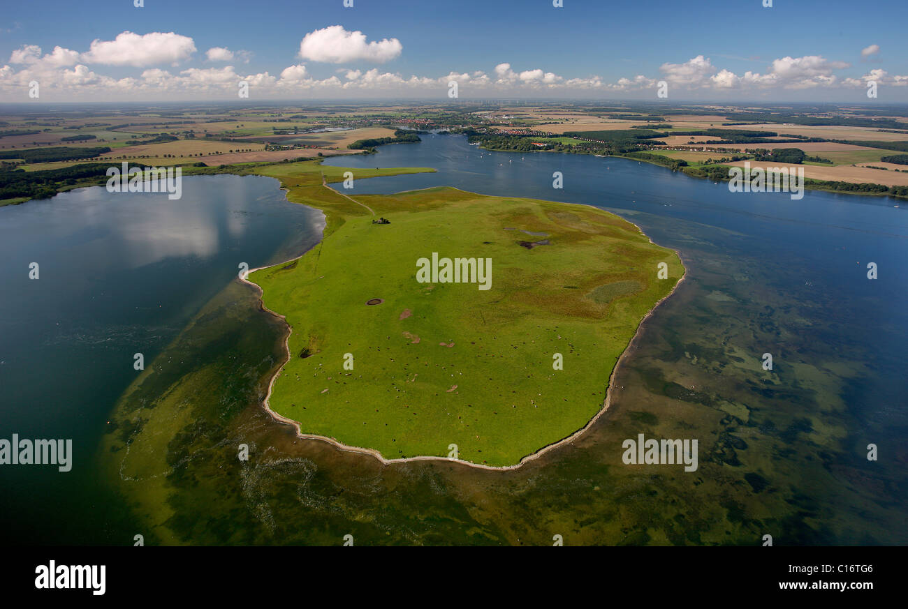 Aerial photograph, Roebel, Mueritz, peninsula, Lake Mueritz, Mecklenburg-Western Pomerania, Germany, Europe Stock Photo