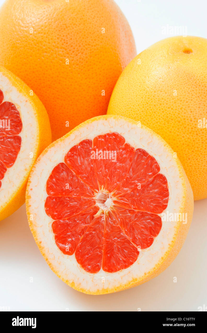 Grapefruits (Citrus x paradisi) Stock Photo
