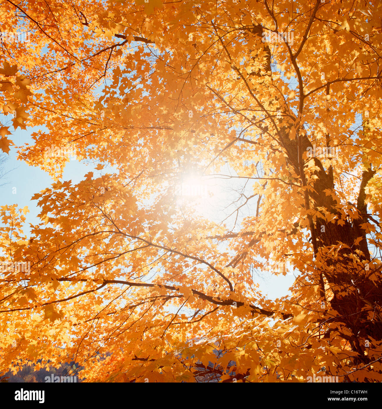 Indian summer new england hi-res stock photography and images - Alamy