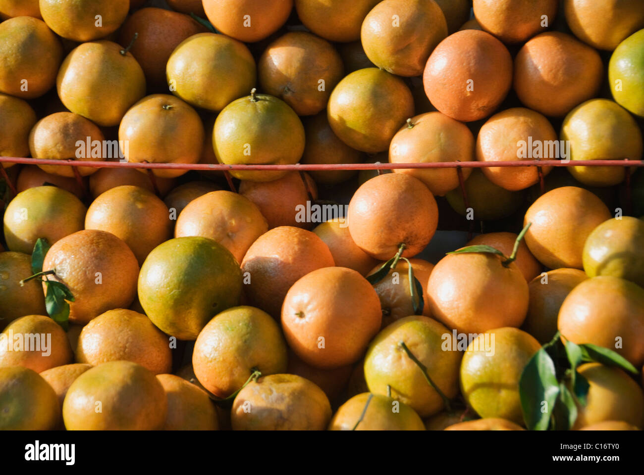 Kinnows at a market stall, Vaishno Devi, Katra, Jammu And Kashmir, India Stock Photo