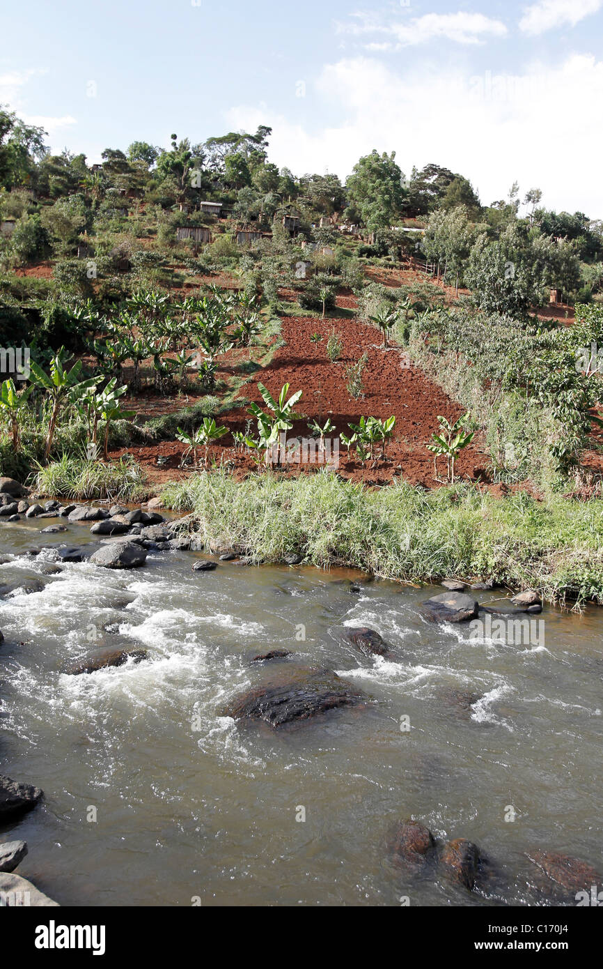 The Chania River runs through farmland near the town of Nyeri, Kenya