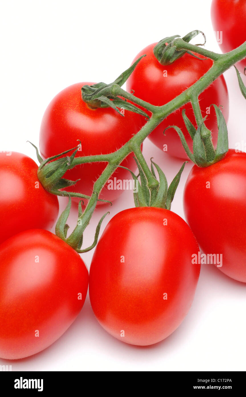 Vine plum tomatoes Stock Photo