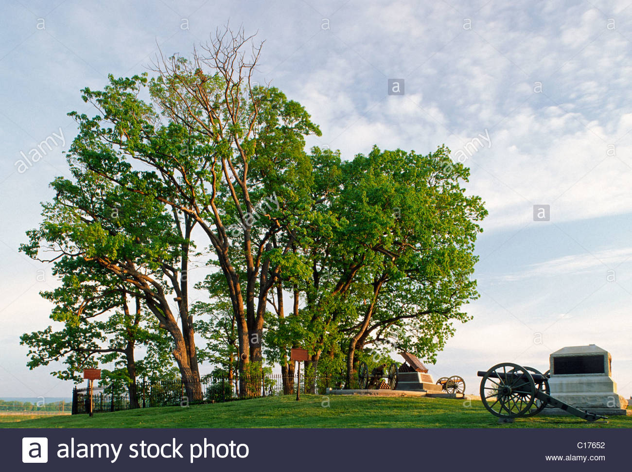 Copse Of Trees High Resolution Stock Photography and Images - Alamy