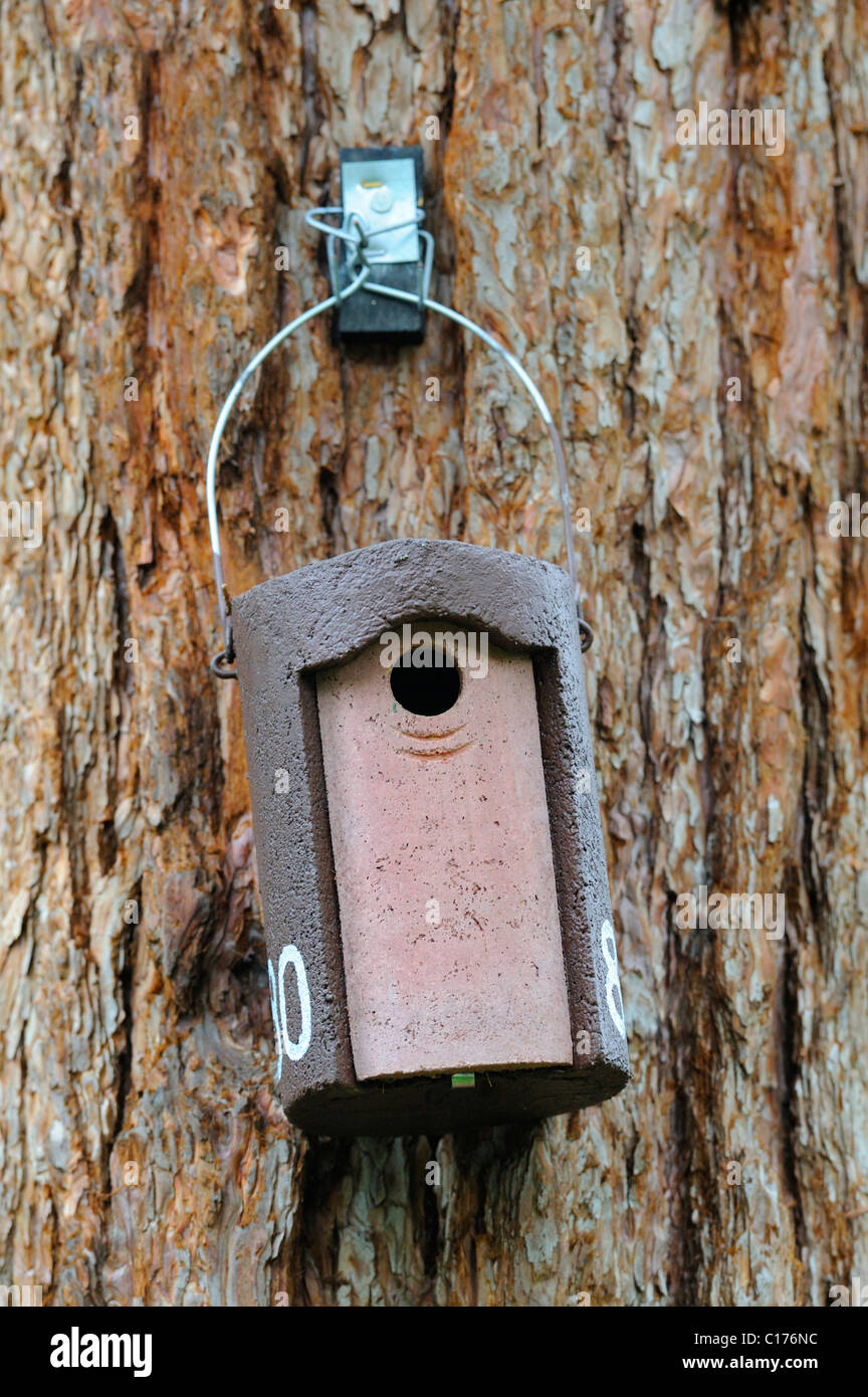 Bird nesting box for singing birds Stock Photo
