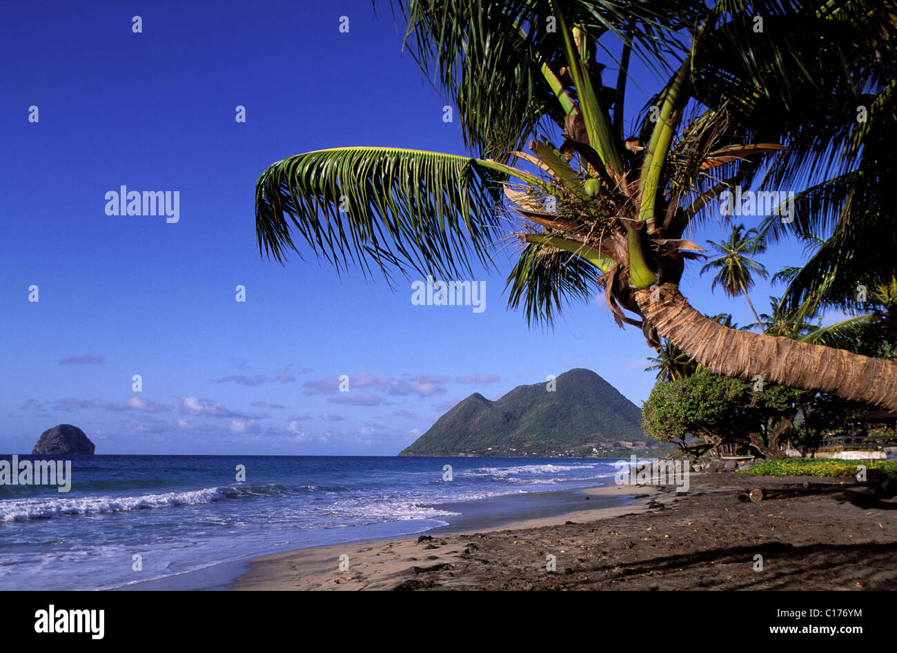 France, Martinique Island, Diamond beach Stock Photo