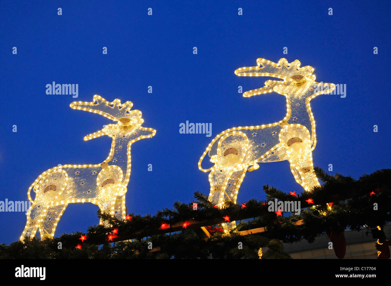 Chrismas lighting, fairy lights, reindeers, christmas market, Dortmund