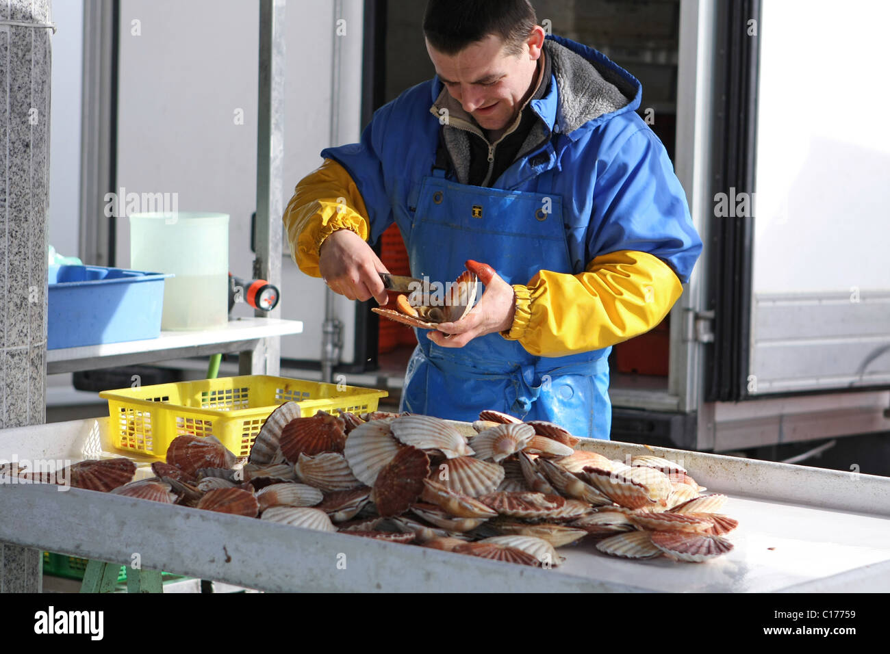 A man cutting clams from their shells in a French fish market in Ouisterham, Normandy Stock Photo