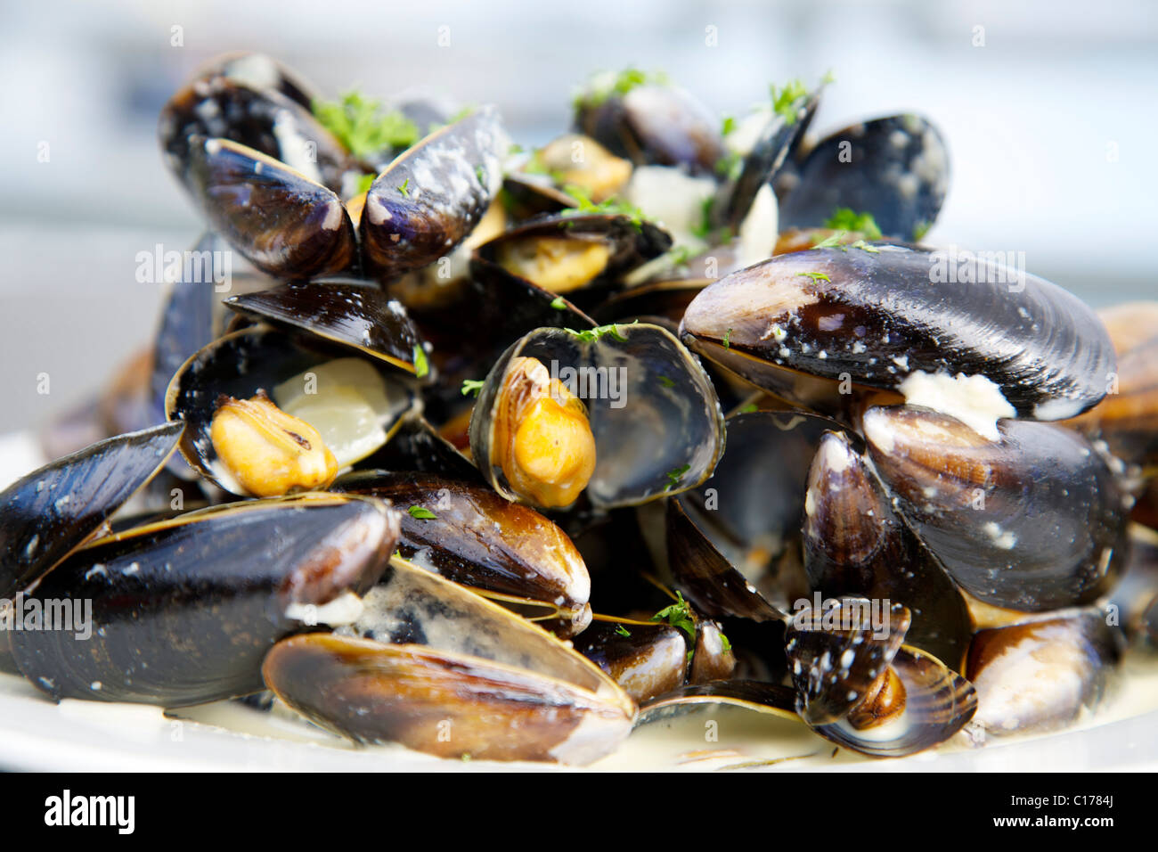 A dish of Scottish "West Coast" mussels Stock Photo Alamy