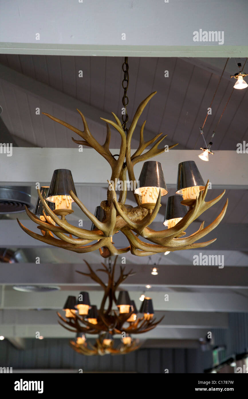 Light fittings made from antlers. Stock Photo